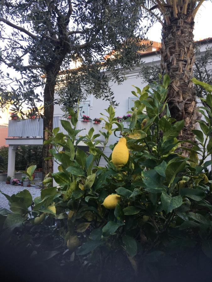 Guesthouse Villa Jung Bordighera Εξωτερικό φωτογραφία